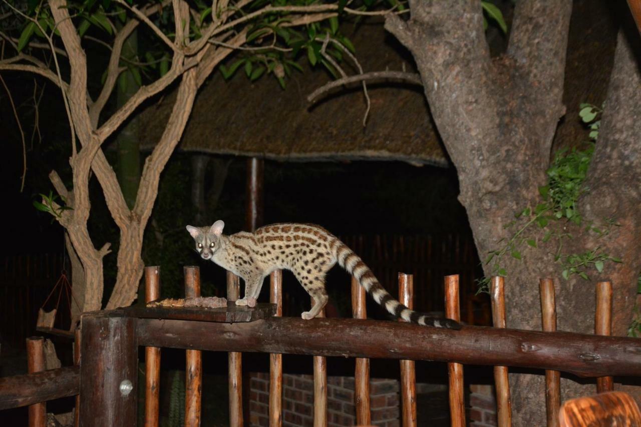 Bona Ngwenya Lodge & Safaris Marloth Park Exterior foto